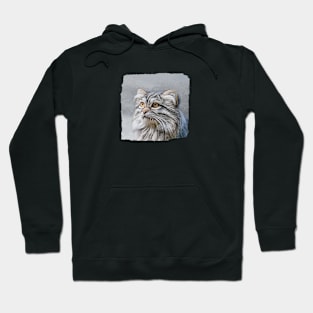 Pallas Cat Portrait Hoodie